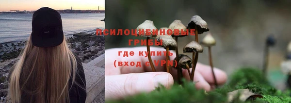 бошки Верхний Тагил