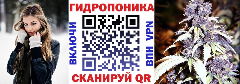 купить Копейск Каннабис MAZAR